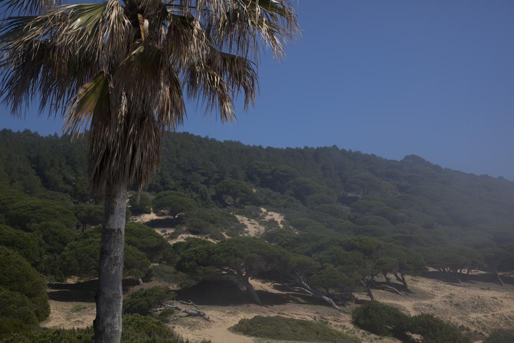 לוס קניוס דה מקה Hostal Mar De Frente מראה חיצוני תמונה